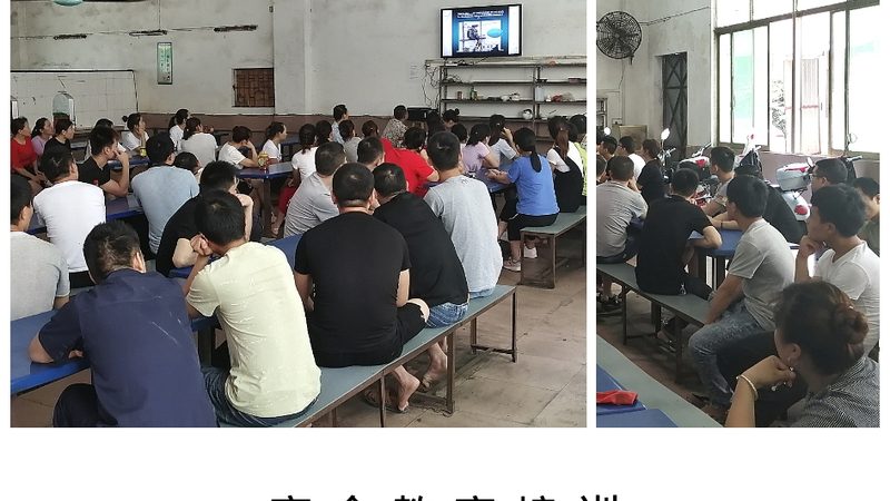 成都少儿编程线上课哪家好